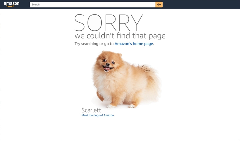 Amazon_com_404